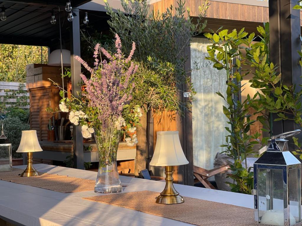 Dragonfly Glamping Spa Retreat Ashford  Ngoại thất bức ảnh
