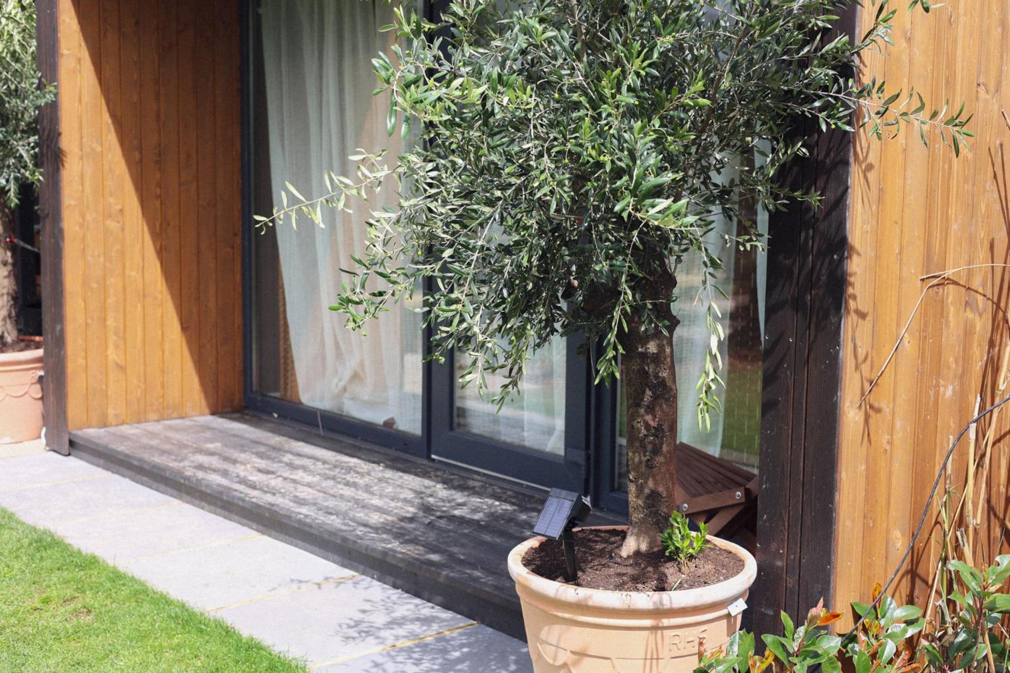 Dragonfly Glamping Spa Retreat Ashford  Ngoại thất bức ảnh