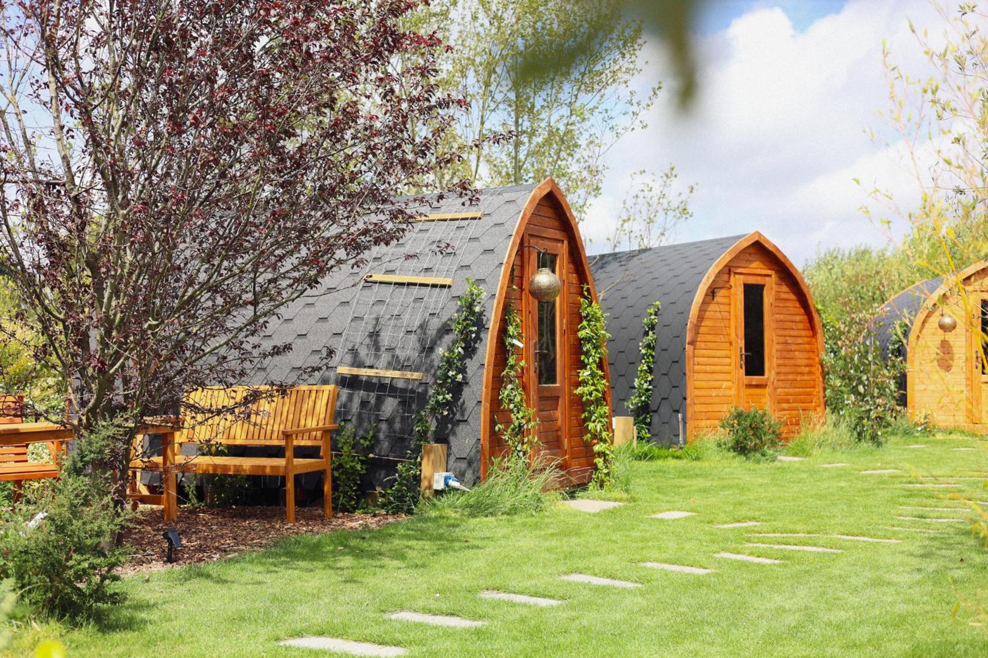 Dragonfly Glamping Spa Retreat Ashford  Ngoại thất bức ảnh